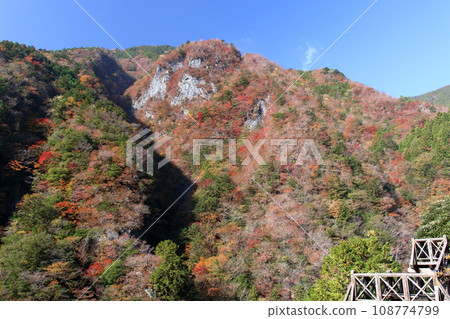 高瀨峽谷展望台的風景(德島縣那珂町) 高瀨峽谷展望台的風景(德島縣那珂町) 108774799