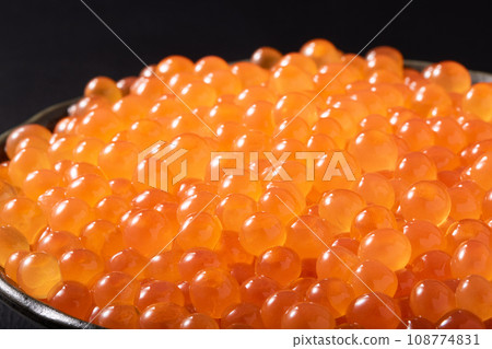 Hokkaido raw salmon roe 108774831
