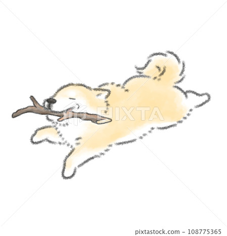 一隻快樂的狗狗撿起一根漂亮的樹枝 一隻快樂的狗狗撿起一根漂亮的樹枝 108775365
