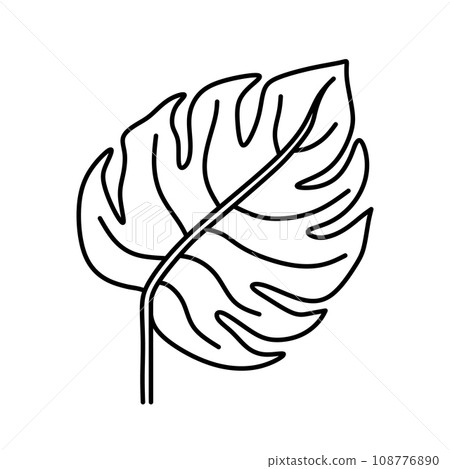 Monstera leaf doodle - Stock Illustration [108776890] - PIXTA