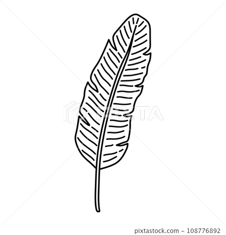 Tropical banana leaf Tropical banana leaf 108776892