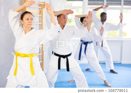 Group of multiethnic people training karate techniques Group of multiethnic people training karate techniques 108778011