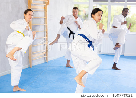 Multinational students repeat position and perform sequence of punches and painful techniques kata Multinational students repeat position and perform sequence of punches and painful techniques kata 108778021