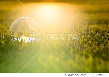 Ecology image Ecology image 108779596