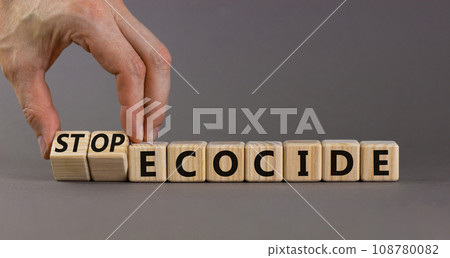 Stop ecocide symbol. Businessman turns wooden cubes and changes words ecocide to stop ecocide. Beautiful grey background, copy space. Business, ecological and stop ecocide concept. Stop ecocide symbol. Businessman turns wooden cubes and changes words ecocide to stop ecocide. Beautiful grey background, copy space. Business, ecological and stop ecocide concept. 108780082