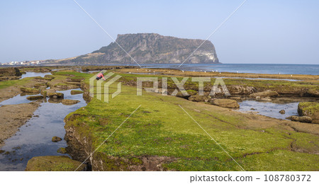 Jeju Island South Korea, nature landscape at Seongsan Ilchulbong 108780372