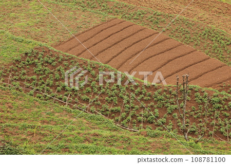 Small cultivated fields in Ghandruk, Nepal. Small cultivated fields in Ghandruk, Nepal. 108781100