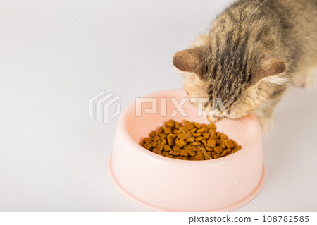 An isolated adorable tabby cat sits next to a food bowl on the floor eating a delicious meal. The cat's curious eye and small tongue add to the charm of this heartwarming portrait. 108782585