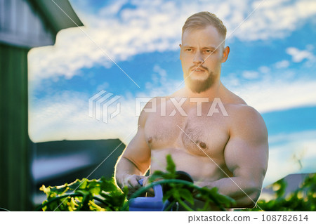 Muscular, shirtless European man in countryside on summer evening. 108782614