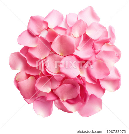 Blush Pink Rose Petals Cluster Blush Pink Rose Petals Cluster 108782973