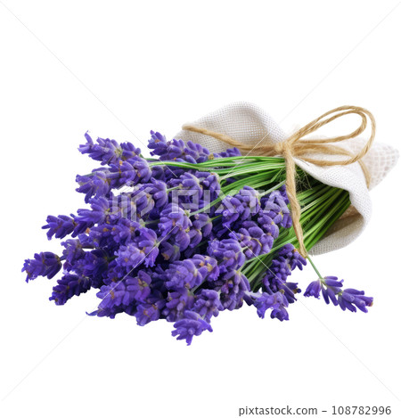 Aromatic Lavender Flowers Tied Aromatic Lavender Flowers Tied 108782996