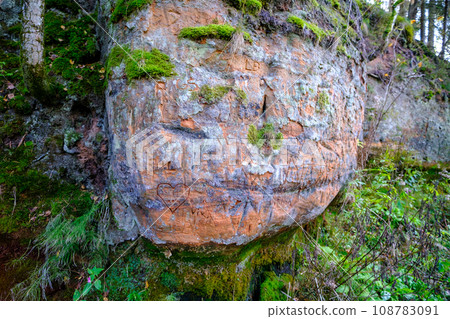 Red sandstone rock in the Gauja National Park. 108783091