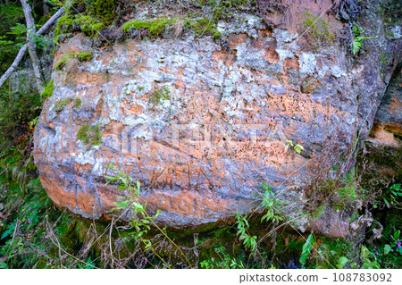 Red sandstone rock in the Gauja National Park 108783092