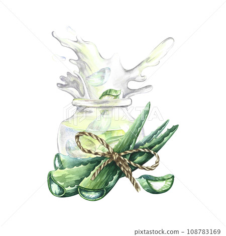 Aloe vera. Hand-drawn watercolor illustration. a bunch of aloe vera leaves, slices of aloe and a glass jar with aloe juice. Isolate. For packaging cosmetics and medicine. For banner, poster and flyer. Aloe vera. Hand-drawn watercolor illustration. a bunch of aloe vera leaves, slices of aloe and a glass jar with aloe juice. Isolate. For packaging cosmetics and medicine. For banner, poster and flyer. 108783169