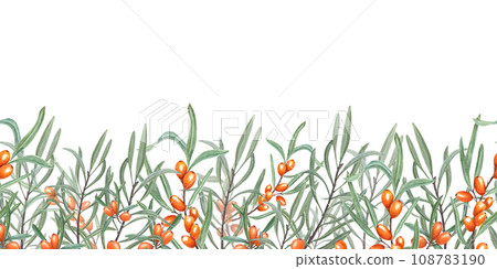 Seamless border of Sea Buckthorn. Sandthorn, sallowthorn. Illustration with bright Orange Berries and Green Leaves suitable for card design, textile, wrapping, scrapbooking Seamless border of Sea Buckthorn. Sandthorn, sallowthorn. Illustration with bright Orange Berries and Green Leaves suitable for card design, textile, wrapping, scrapbooking 108783190