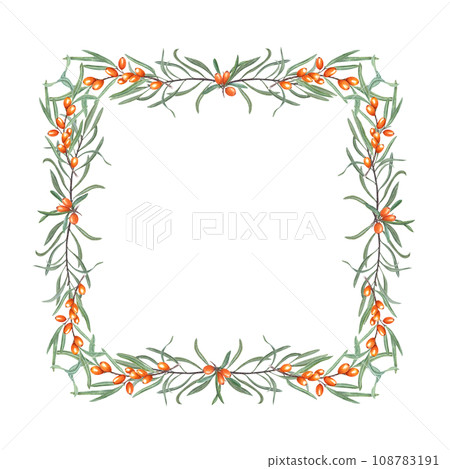 Square frame with Sea buckthorn branches. Sandthorn, sallowthorn. Ripe juice orange berries, green leaves. Watercolor illustration. For postcard, invitation template, package. Space for text 108783191