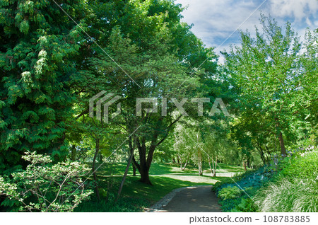 A shaded summer garden with cozy alleys. 108783885