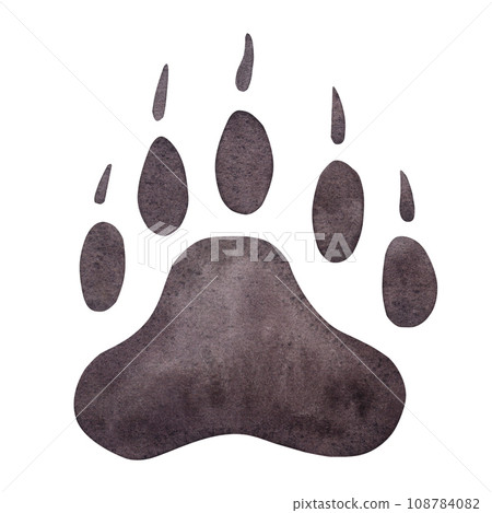 Colored track of bear, grizzly, pandas. Brown paw wild animal footprint. Hand drawn watercolor illustration isolated on white background. For printing postcards, textile, clothes, fabrics 108784082
