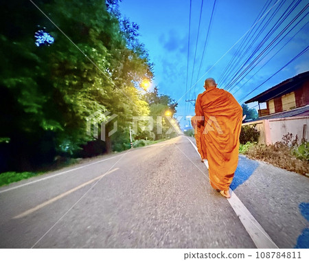 Lamphun Province, Thailand, 12 November 2023 : The group of Thai monks that wear yellow robe are walking straight in a line along the roadside around the monastery for receive alms in the morning. Lamphun Province, Thailand, 12 November 2023 : The group of Thai monks that wear yellow robe are walking straight in a line along the roadside around the monastery for receive alms in the morning. 108784811
