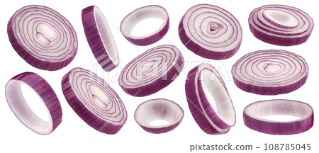 Red onion rings isolated on white background, full depth of field 108785045