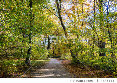 Golden autumn view in famous Munich relax place - Englischer Garten. Munich, Bavaria, Germany Golden autumn view in famous Munich relax place - Englischer Garten. Munich, Bavaria, Germany 108785454