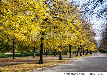 Walking in Hofgarten Park in Munich on an autumn day, Germany 108785462