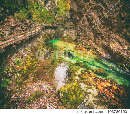 Vintgar gorge, Slovenia Vintgar gorge, Slovenia 108786160
