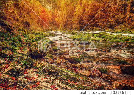 Vintgar gorge, Slovenia 108786161