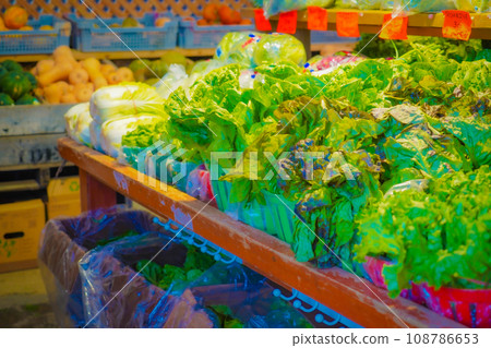 Jean-Talon Market (Vegetable Market) Jean-Talon Market (Vegetable Market) 108786653