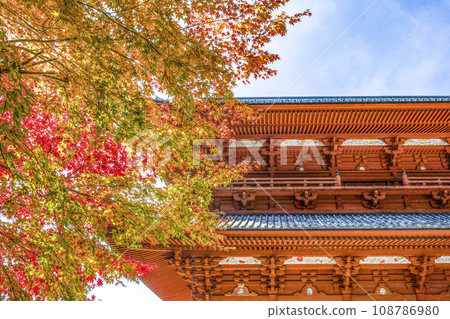 秋天的高野山,大門東側的楓葉 秋天的高野山,大門東側的楓葉 108786980