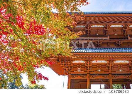 Mt. Koya in autumn, the Daimon gate and maple trees with autumn leaves seen from the east side 108786983