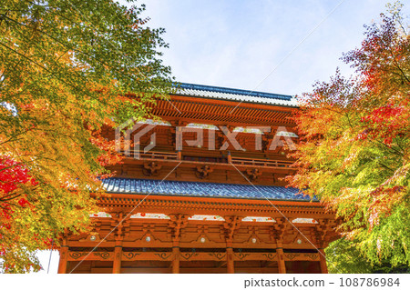 Mt. Koya in autumn, the Daimon gate and maple trees with autumn leaves seen from the east side 108786984