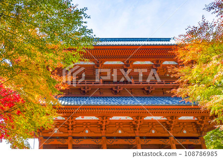 Mt. Koya in autumn, the Daimon gate and maple trees with autumn leaves seen from the east side Mt. Koya in autumn, the Daimon gate and maple trees with autumn leaves seen from the east side 108786985