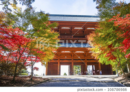 秋天的高野山,從東側看到的大門和紅葉楓樹 秋天的高野山,從東側看到的大門和紅葉楓樹 108786986