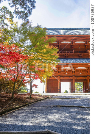秋天的高野山,從東側看到的大門和紅葉楓樹 秋天的高野山,從東側看到的大門和紅葉楓樹 108786987