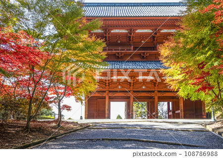 秋天的高野山，從東側看到的大門和紅葉楓樹 108786988