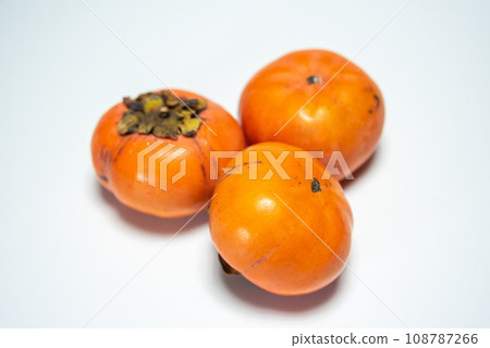 放在白色背景上的柿子 108787266