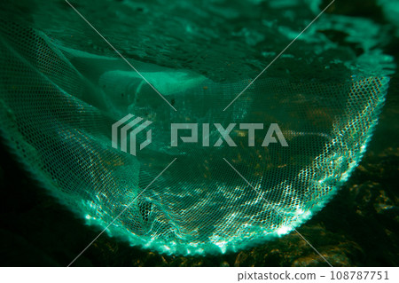 水生的 水下 在水中 108787751