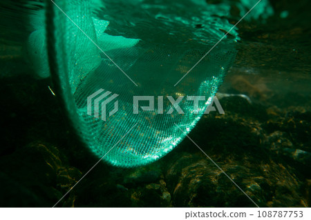aquatic, net, nets 108787753