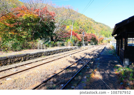 Sawairi station in autumn 108787932