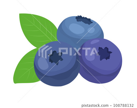 Blueberry illustration Blueberry illustration 108788132