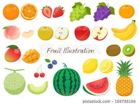 Fruit illustration set 108788166