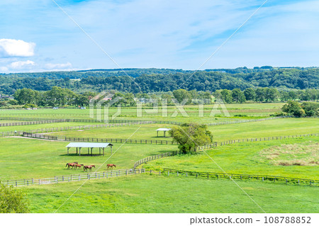 純種銀座停車場 俯瞰純種銀座 108788852