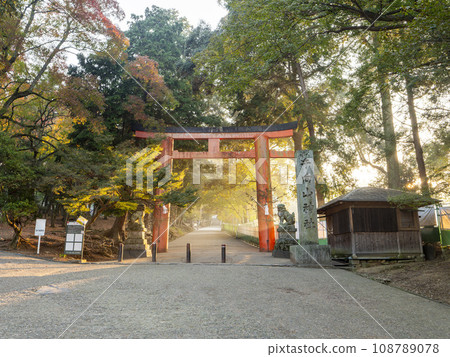 朝陽照耀下的田宮山八幡宮鳥居 朝陽照耀下的田宮山八幡宮鳥居 108789078