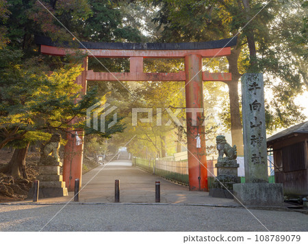 朝陽照耀下的田宮山八幡宮鳥居 108789079