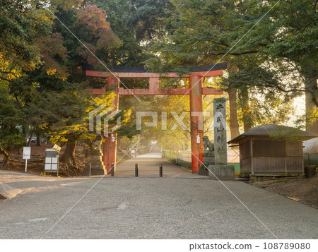 朝陽照耀下的田宮山八幡宮鳥居 108789080