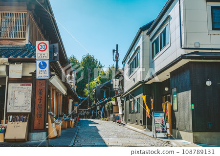 Confectionery Yokocho Streetscape of Little Edo Kawagoe 2023.11 A-3 Film style 108789131