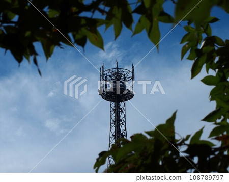 無線電塔從楓葉的樹蔭下探出頭來（神田公園'23秋季） 108789797