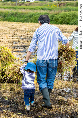 親子體驗水稻收割 108789895