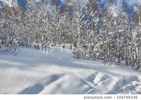 Winter Snowy Landscape 108790336